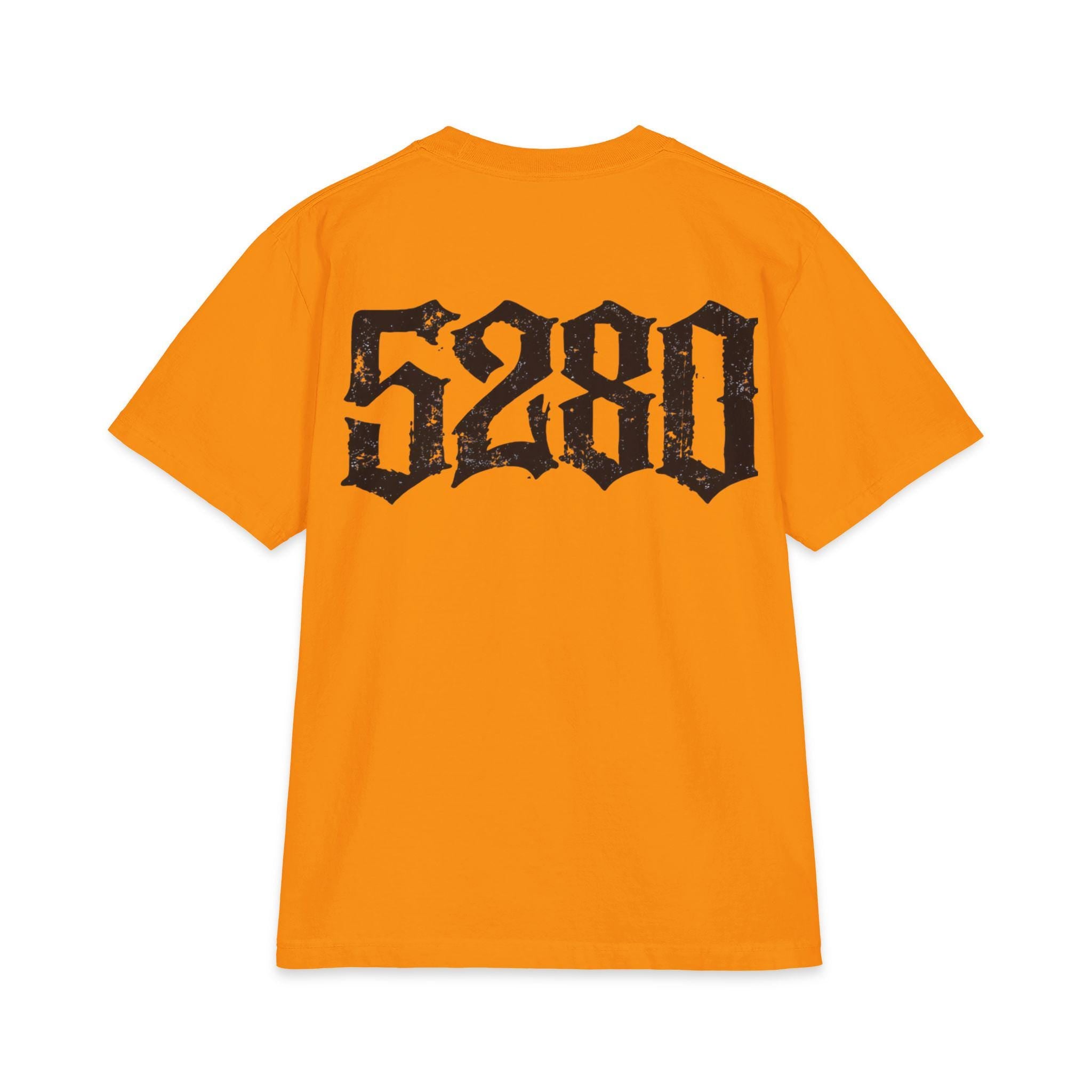 5280 Graphic Tee, Heavyweight Oversized T Shirt, Front and Back Print Streetwear, Premium Cotton Urban Fashion Shirt